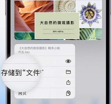 崖州apple维修中心分享iPhone文件应用中存储和找到下载文件