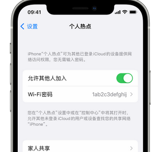 崖州apple服务站点分享iPhone上个人热点丢失了怎么办