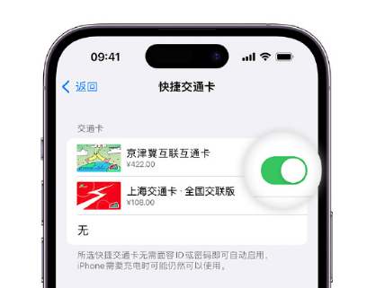 崖州apple维修点分享iPhone上更换Apple Pay快捷交通卡手绘卡面 