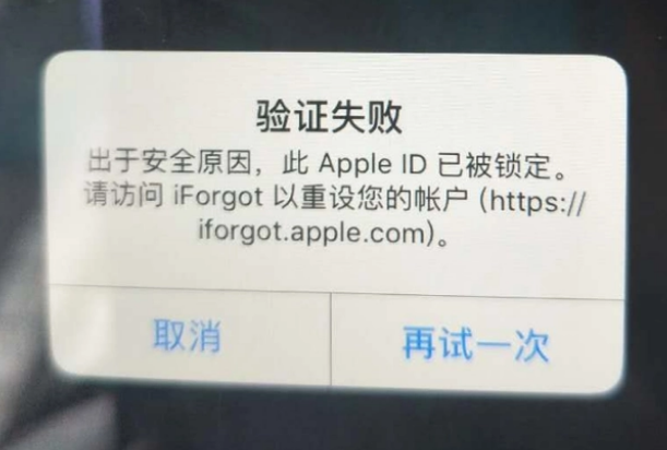 崖州iPhone维修分享iPhone上正常登录或使用AppleID怎么办 