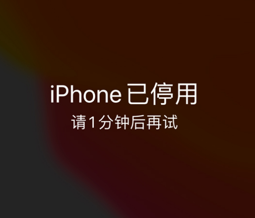 崖州苹果手机维修分享:iPhone 显示“不可用”或“已停用”怎么办？还能保留数据吗？ 