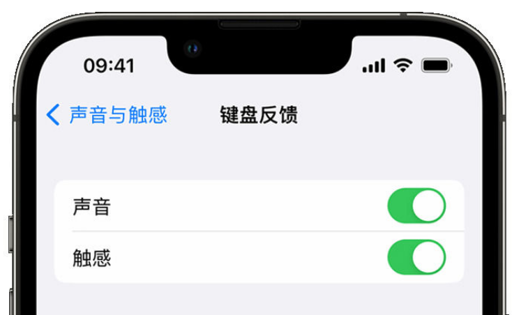 崖州苹果手机维修分享iPhone 14触感键盘使用方法 