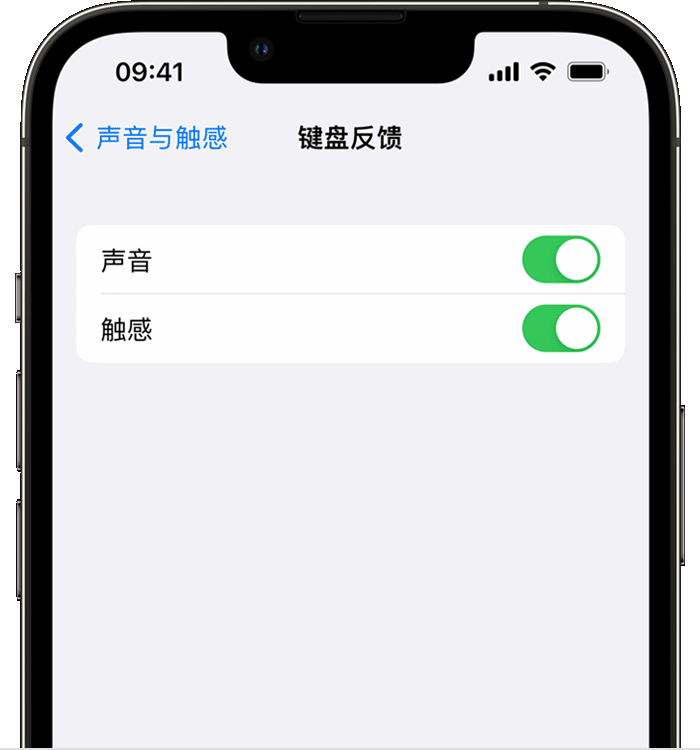 崖州苹果14维修店分享如何在 iPhone 14 机型中使用触感键盘 