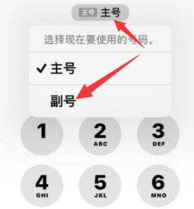 崖州苹果14维修店分享iPhone 14 Pro Max使用副卡打电话的方法 