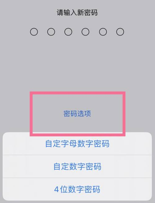 崖州苹果14维修分享iPhone 14plus设置密码的方法 