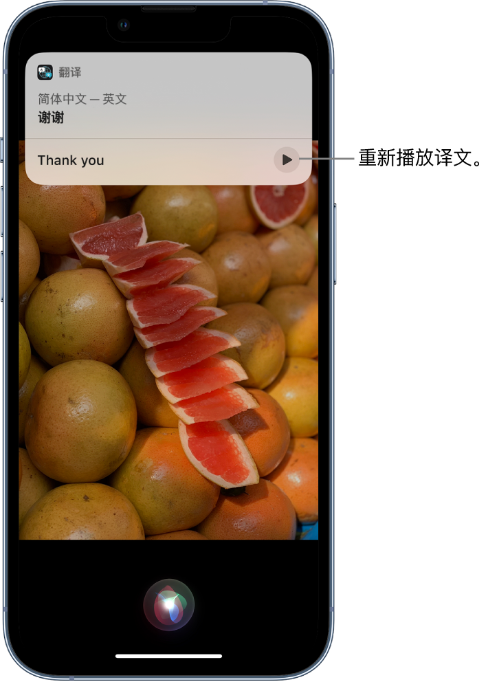 崖州苹果14维修分享 iPhone 14 机型中使用 Siri：了解 Siri 能帮你做什么 