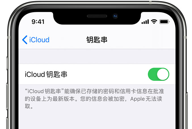 崖州苹果手机维修分享在 iPhone 上开启 iCloud 钥匙串之后会储存哪些信息 