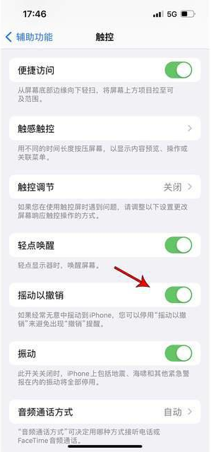 崖州苹果手机维修分享iPhone手机如何设置摇一摇删除文字 