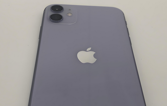 崖州苹果11系统维修分享iPhone11手机系统崩溃无法开机如何解决 